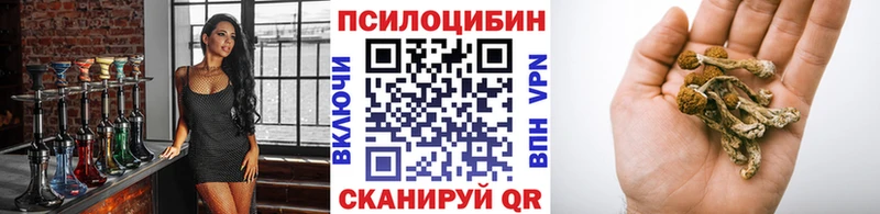 Псилоцибиновые грибы Cubensis  Купить  Ковдор 